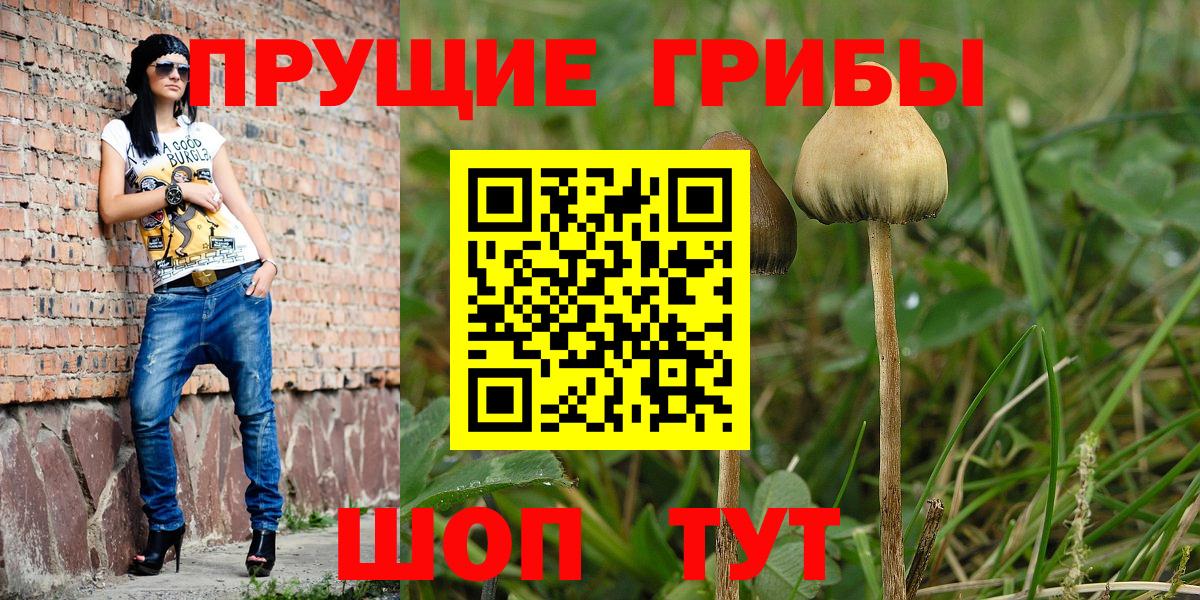 Псилоцибиновые грибы Magic Shrooms  Вход с VPN  Галлюциногенные грибы Cubensis  Новый Уренгой 