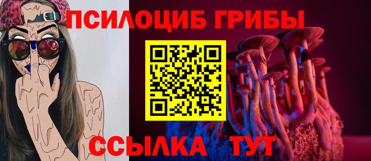 Псилоцибиновые грибы GOLDEN TEACHER Новый Уренгой