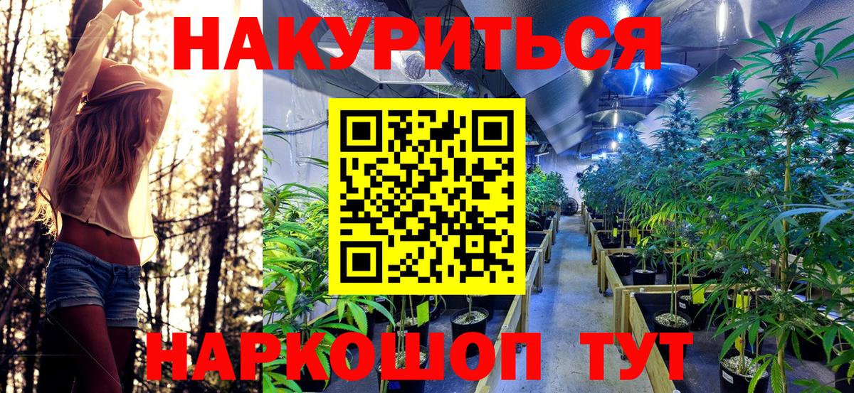 Бошки Шишки гибрид  Каннабис план  Новый Уренгой  Конопля AK-47  Вход с VPN  Бошки Шишки тримм 